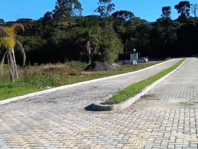 Imagem 5: P>**CHÁCARA com 20.000m² LOTE 15