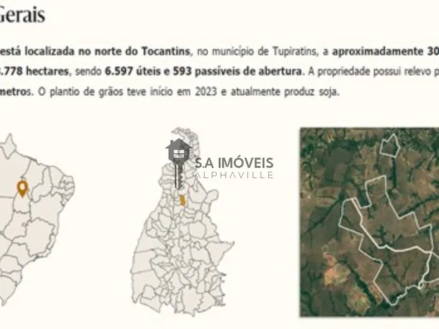 Imagem: FAZENDA COMERCIAL em TUPIRATINS - TO, Tupiratins