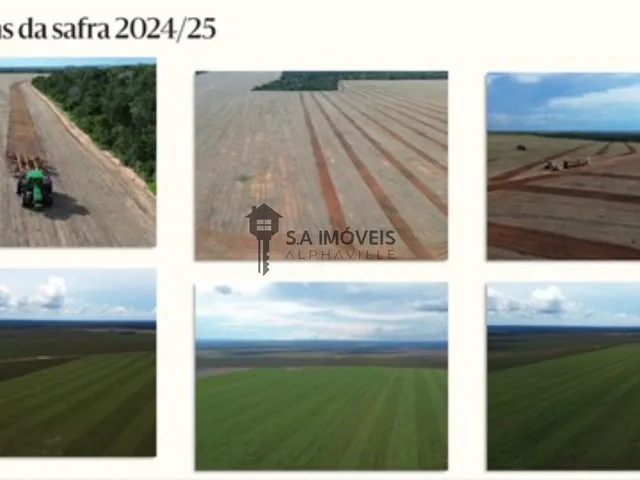 Imagem 10: FAZENDA COMERCIAL em TUPIRATINS - TO, Tupiratins