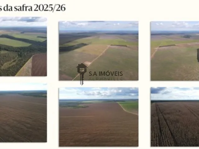 Imagem 4: FAZENDA COMERCIAL em TUPIRATINS - TO, Tupiratins