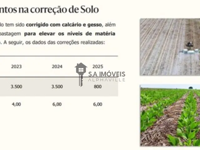 Imagem 8: FAZENDA COMERCIAL em TUPIRATINS - TO, Tupiratins