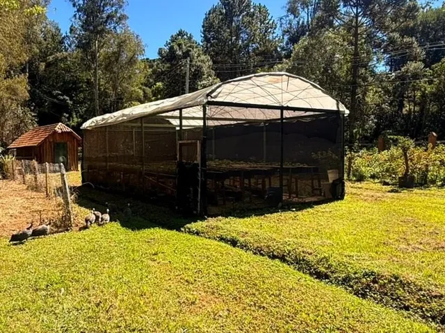 Imagem 15: Fazenda À Venda em Delfim Moreira-Mg - Bairro Caquende 83 Hectares de Área Espetacular!