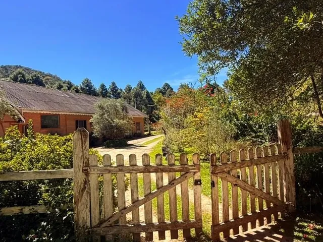 Imagem 9: Fazenda À Venda em Delfim Moreira-Mg - Bairro Caquende 83 Hectares de Área Espetacular!