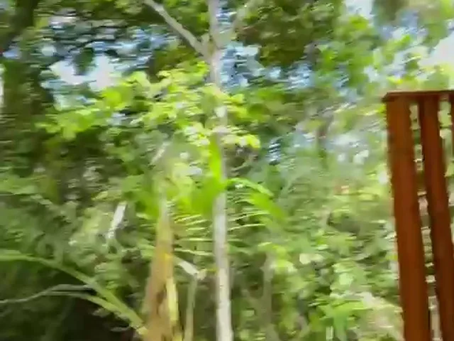 Imagem 5: CASA RESIDENCIAL em MATA DE SÃO JOÃO - BA, PRAIA DO FORTE