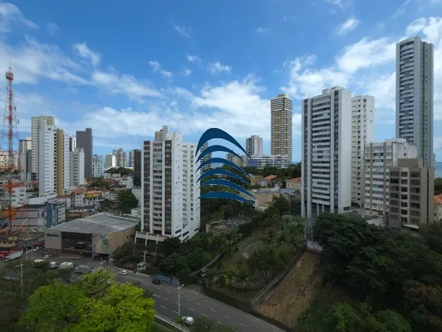 Imagem 8: COLETÂNEA CANELA