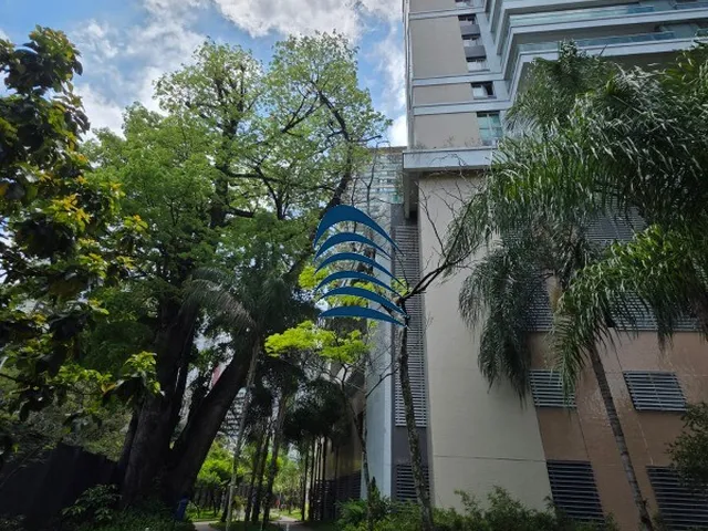 Imagem 4: COLETÂNEA CANELA