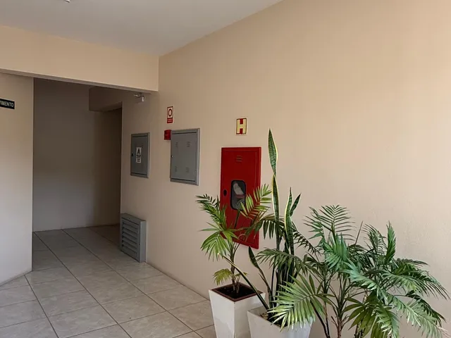 Imagem 8: APARTAMENTO - FELIZ