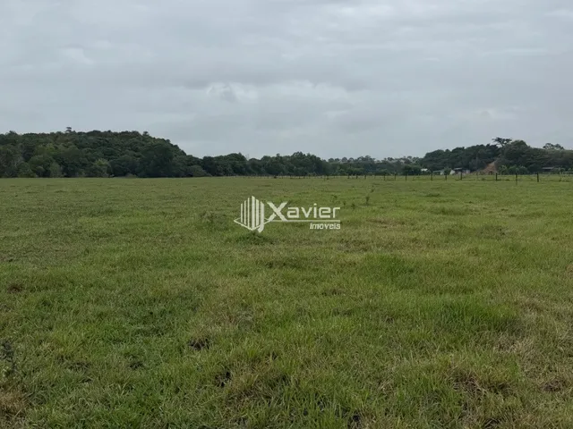Imagem: Terreno à Venda com 20.000 m² em Jaboticaba