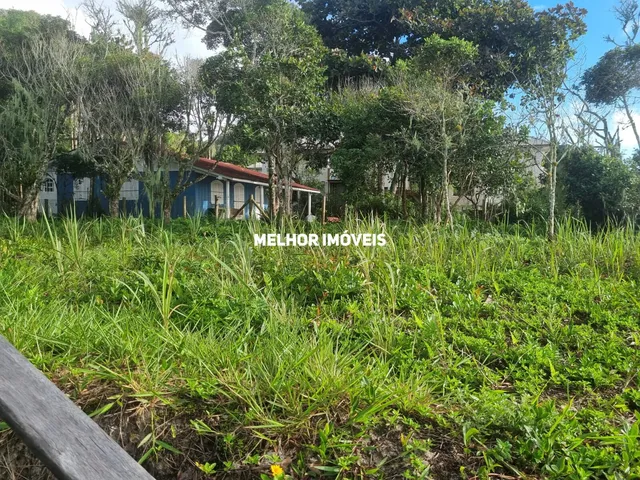 Imagem 7: Terreno em Ilha do Mel, Paranaguá/PR