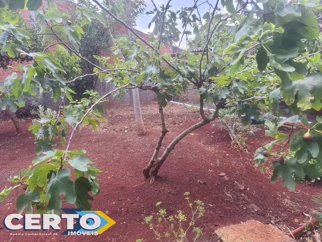 Imagem 2: CASA BAIRRO LOT AUGUSTO II