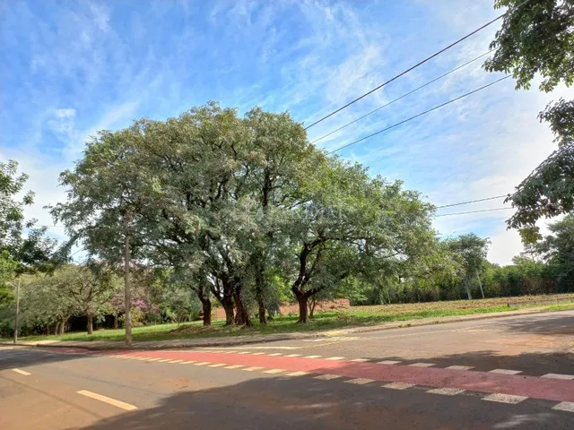 Imagem 3: TERRENO / SANTA RITA