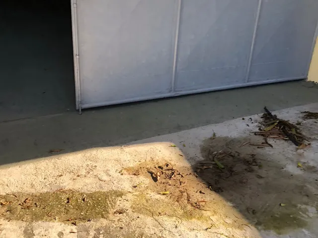 Imagem 5: Pavilhão/Galpão para alugar no bairro Coité - Eusébio/CE