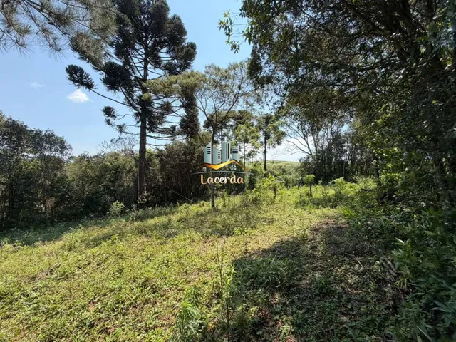 Imagem: Área à venda no bairro Planta Deodoro