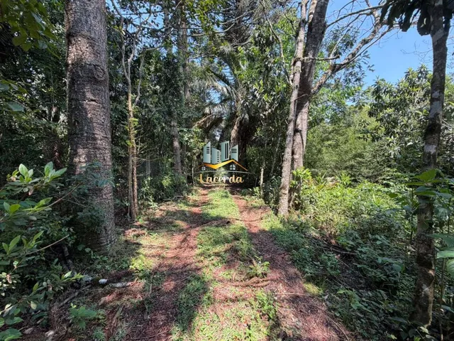 Imagem 6: Área à venda no bairro Planta Deodoro