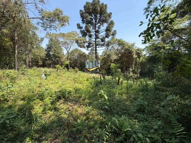 Imagem 8: Área à venda no bairro Planta Deodoro