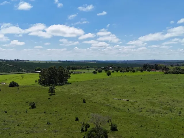 Imagem 14: 0 Fazenda / sítio com 3 dormitórios