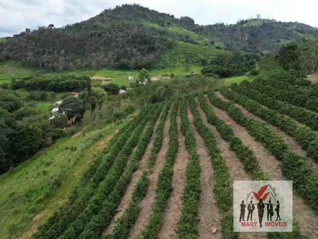 Imagem: Fazenda À Venda no Bairro Centro - Caconde/Sp