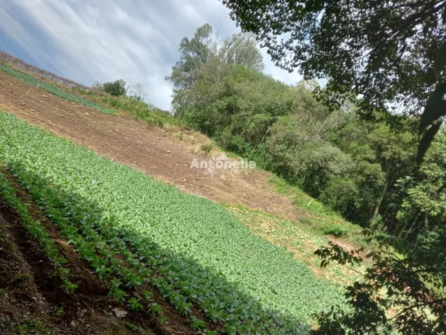 Imagem 1: Terreno À Venda no Bairro Galopolis