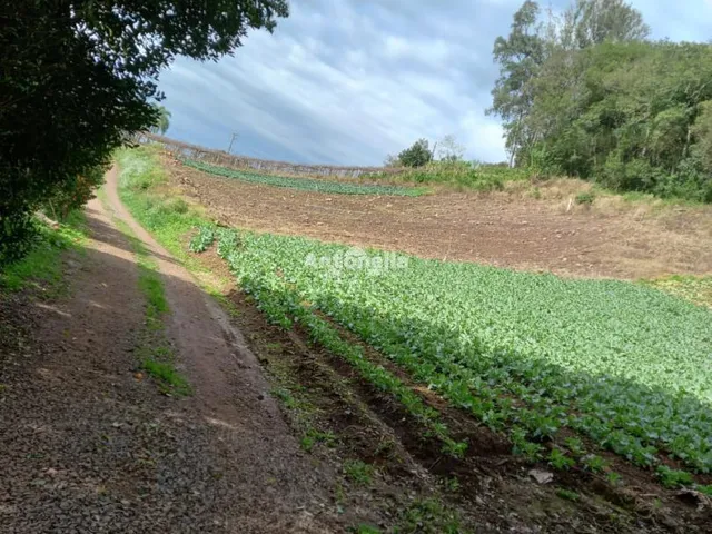 Imagem 2: Terreno À Venda no Bairro Galopolis