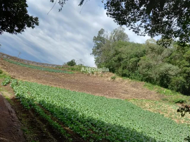 Imagem 4: Terreno À Venda no Bairro Galopolis