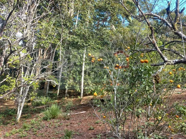 Imagem 3: Chácara em Gramado l, Redenção da Serra/SP