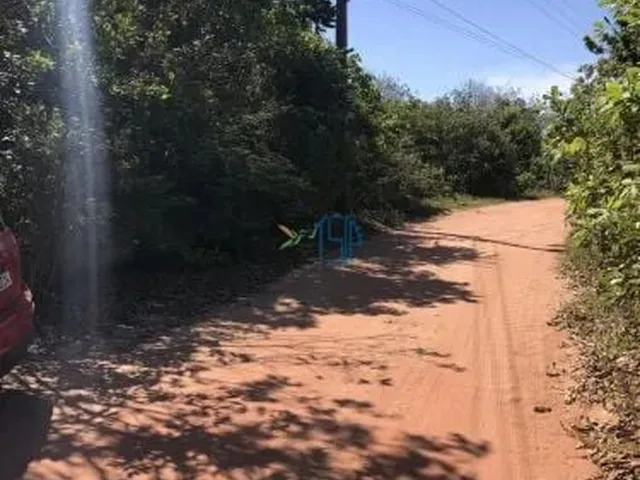 Imagem: TERRENO AMPLO E ARBORIZADO COM 58M DE FRENTE