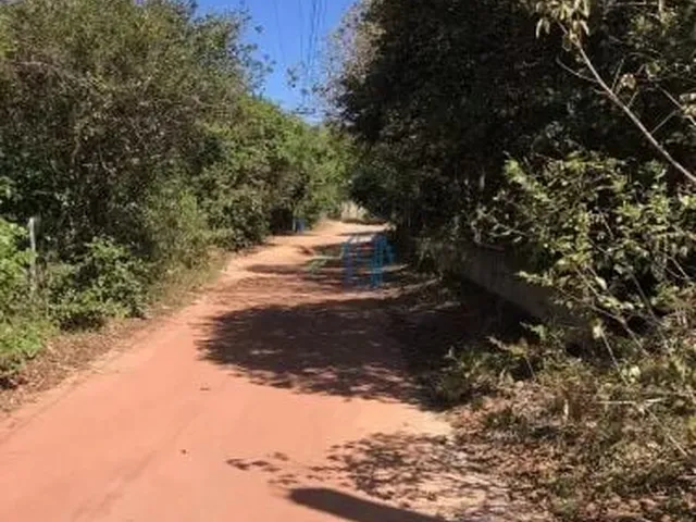 Imagem 4: Terreno Amplo e Arborizado com 58M de Frente - Oportunidade em Pipa
