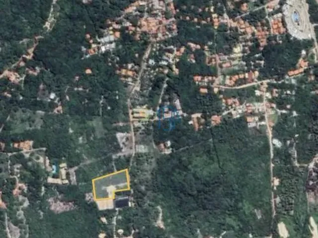 Imagem 6: Terreno Amplo e Arborizado com 58M de Frente - Oportunidade em Pipa