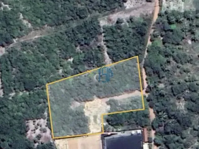Imagem 3: Terreno Amplo e Arborizado com 58M de Frente - Oportunidade em Pipa