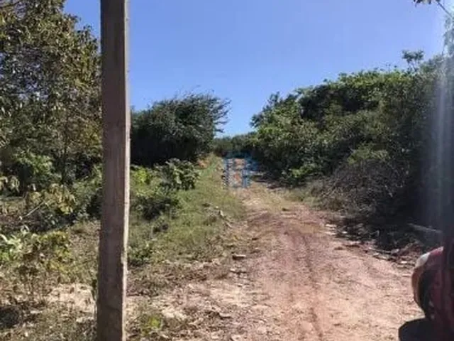Imagem 7: Terreno Amplo e Arborizado com 58M de Frente - Oportunidade em Pipa