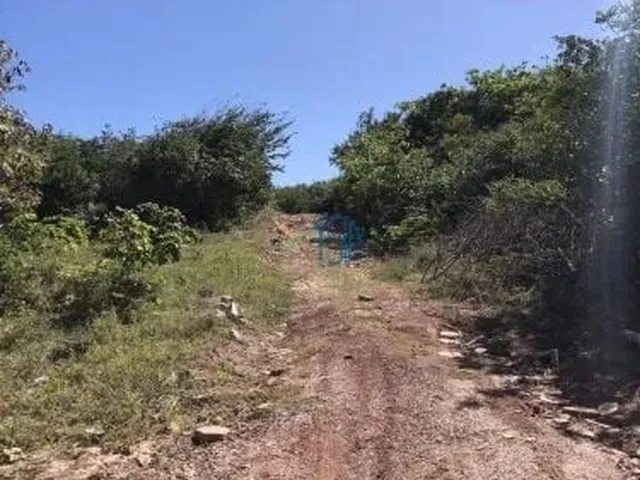 Imagem 2: Terreno Amplo e Arborizado com 58M de Frente - Oportunidade em Pipa