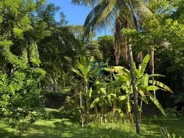 Imagem 10: CASA PRINCIPAL + 5 CHALÉS PRÓXIMOS AO CHAPADÃO EM PIPA