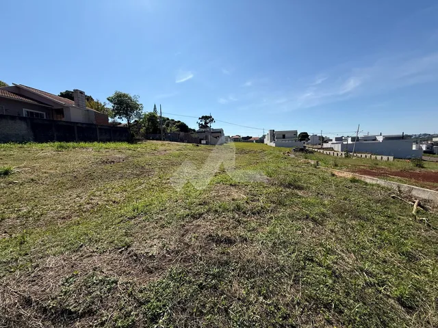 Imagem 5: Terreno À Venda, Centro de Toledo - Pr