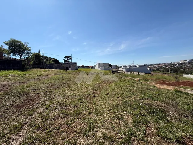 Imagem 6: Terreno À Venda, Centro de Toledo - Pr
