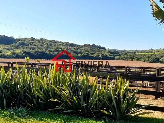 Imagem 8: FAZENDA RURAL em OLIVEIRA - MG, Centro
