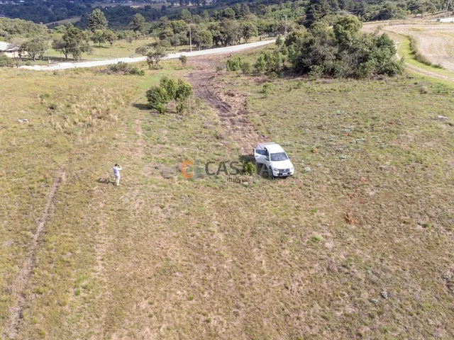 Imagem: TERRENO RURAL em BALSA NOVA - PR, Balsa