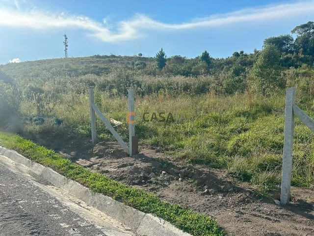 Imagem 6: TERRENO RURAL em BALSA NOVA - PR, Balsa Nova