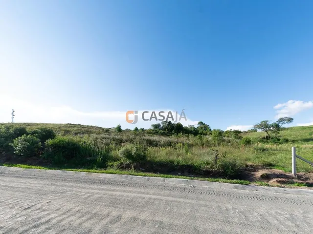 Imagem 13: TERRENO RURAL em BALSA NOVA - PR, Balsa Nova