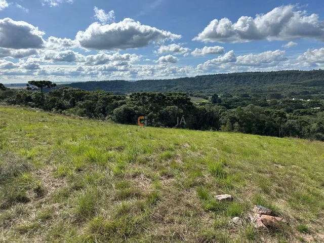 Imagem 14: TERRENO RURAL em BALSA NOVA - PR, Balsa Nova