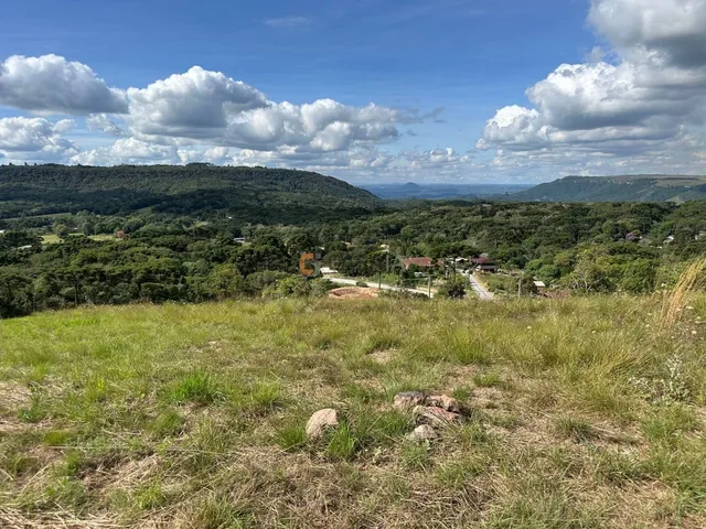 Imagem 3: TERRENO RURAL em BALSA NOVA - PR, Balsa Nova