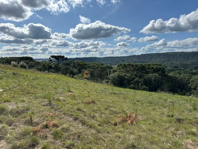 Imagem 15: TERRENO RURAL em BALSA NOVA - PR, Balsa Nova
