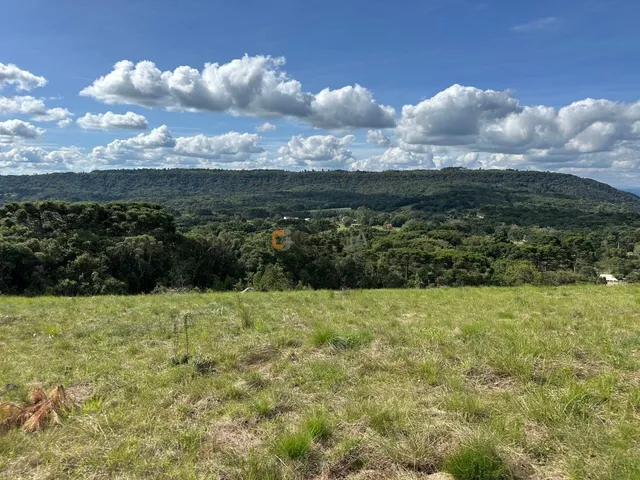 Imagem 2: TERRENO RURAL em BALSA NOVA - PR, Balsa Nova