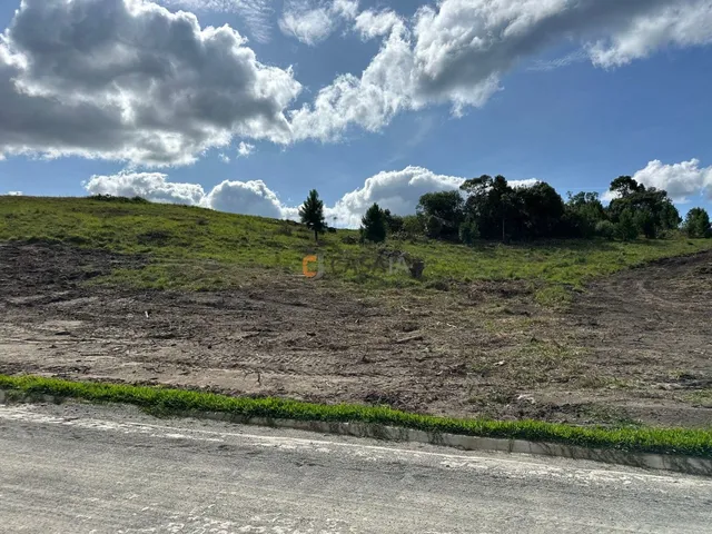 Imagem 9: TERRENO RURAL em BALSA NOVA - PR, Balsa Nova