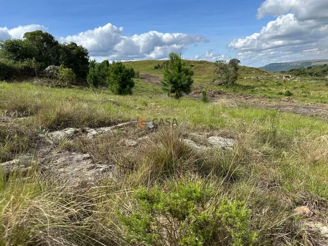 Imagem 5: TERRENO RURAL em BALSA NOVA - PR, Balsa Nova