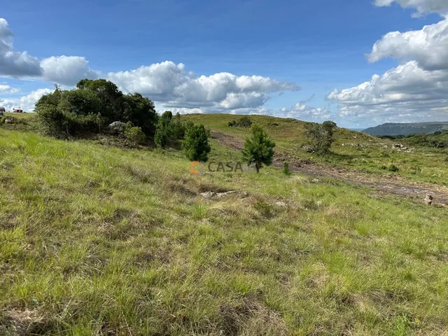 Imagem 10: TERRENO RURAL em BALSA NOVA - PR, Balsa Nova