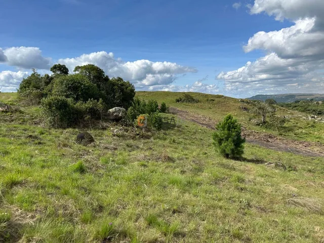 Imagem 7: TERRENO RURAL em BALSA NOVA - PR, Balsa Nova