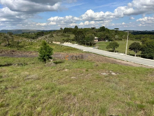 Imagem 16: TERRENO RURAL em BALSA NOVA - PR, Balsa Nova
