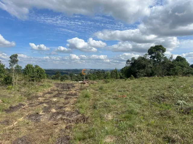 Imagem 8: TERRENO RURAL em BALSA NOVA - PR, Balsa Nova