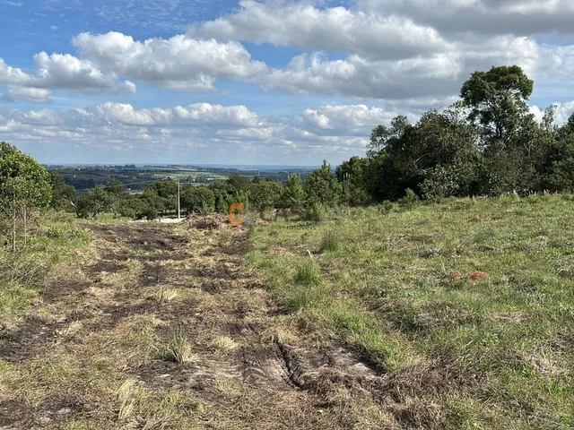 Imagem 11: TERRENO RURAL em BALSA NOVA - PR, Balsa Nova