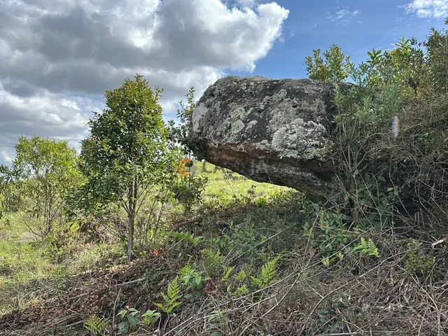 Imagem 12: TERRENO RURAL em BALSA NOVA - PR, Balsa Nova